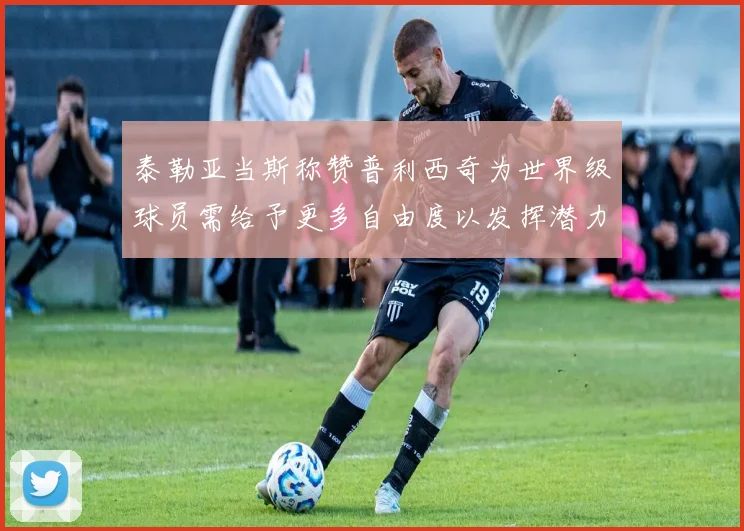 泰勒亚当斯称赞普利西奇为世界级球员需给予更多自由度以发挥潜力